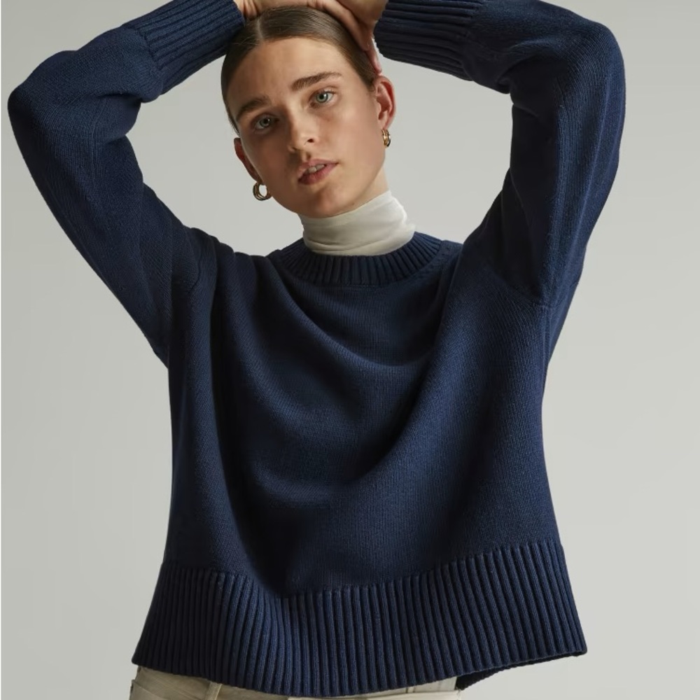 Everlane Organic Cotton Crew Neck Sweater in Navy